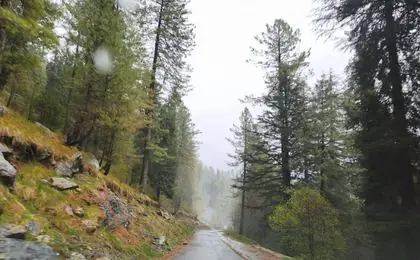 Sharan Valley — Pakistan’s Most Underrated Pine Forest Paradise (Complete Guide 2026)