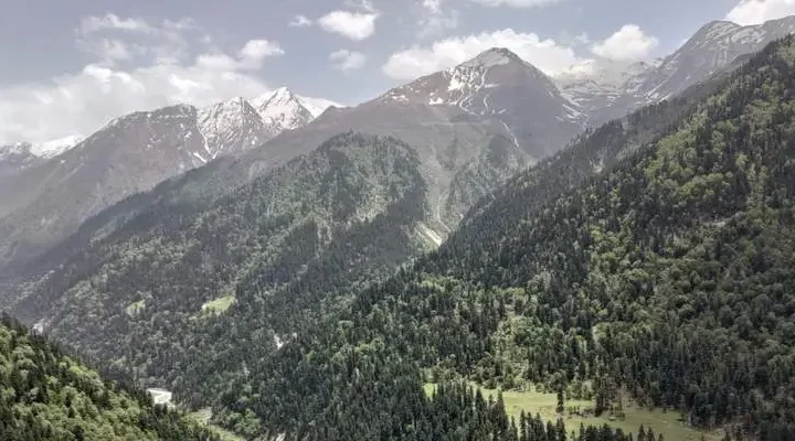 Paradise Guest House Naran
