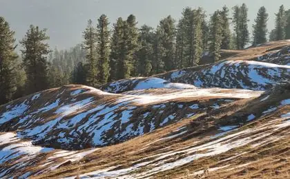 Representative scenery near Naran (East-facing Views)